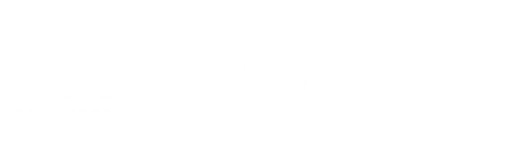 Bamboo Airways