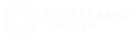 Global Mind